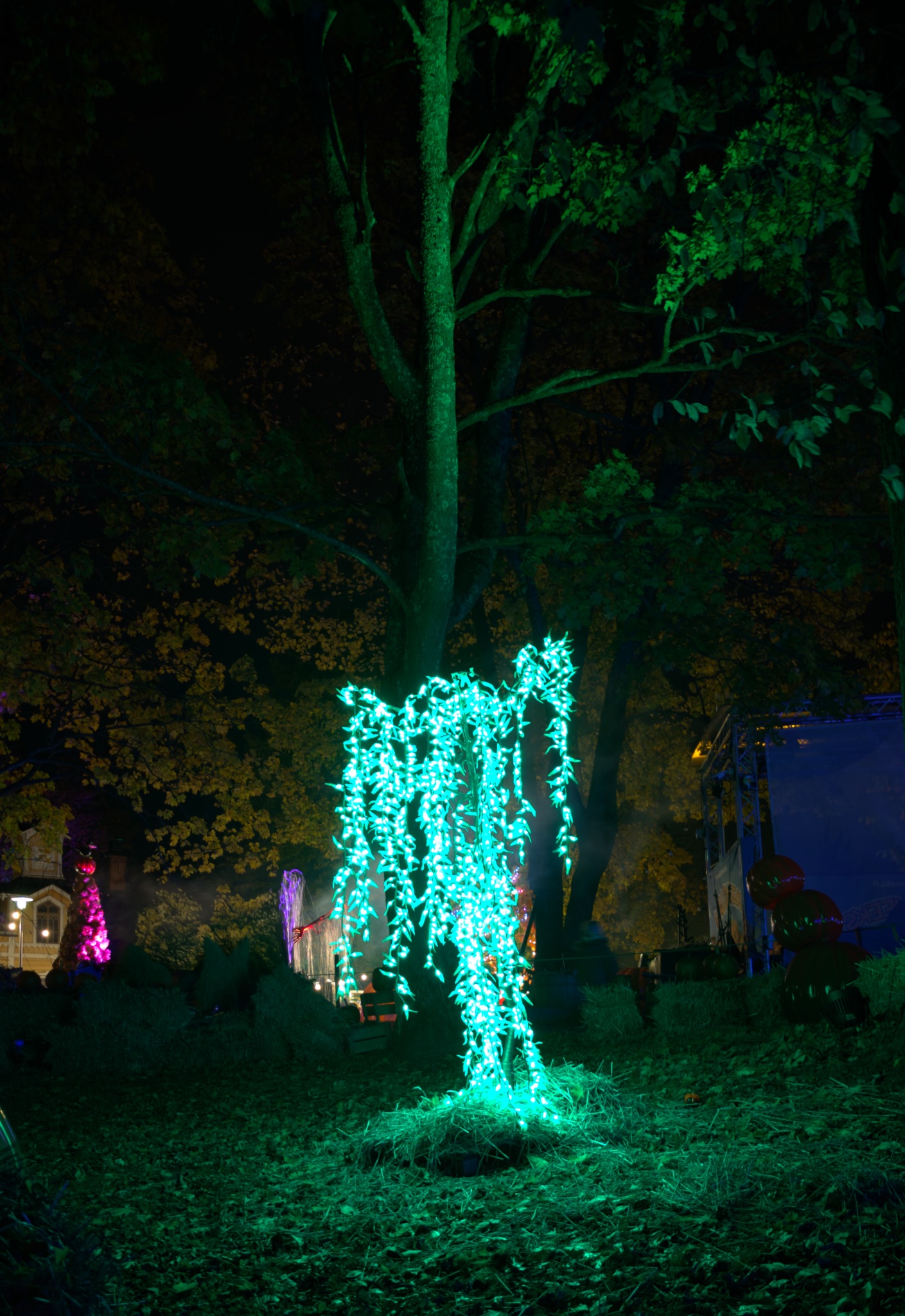 IMG 20251014 192551 copy